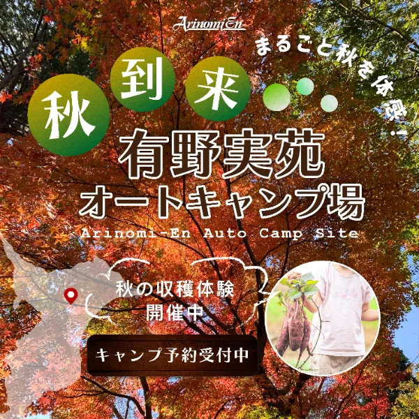 オートキャンプ場予約バナー