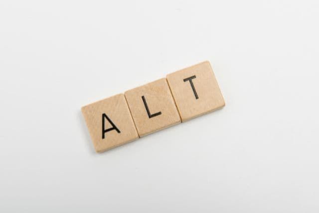 altタグの使い方とSEO効果を高める5つのポイント【初心者向け】